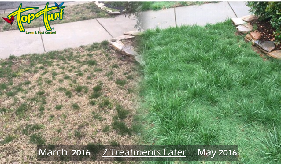 Top Turf Lawn Care and Pest Management Photo