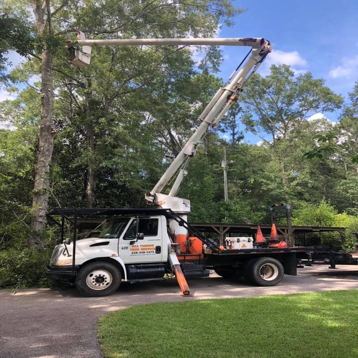 All Timber Tree Service LLC Image