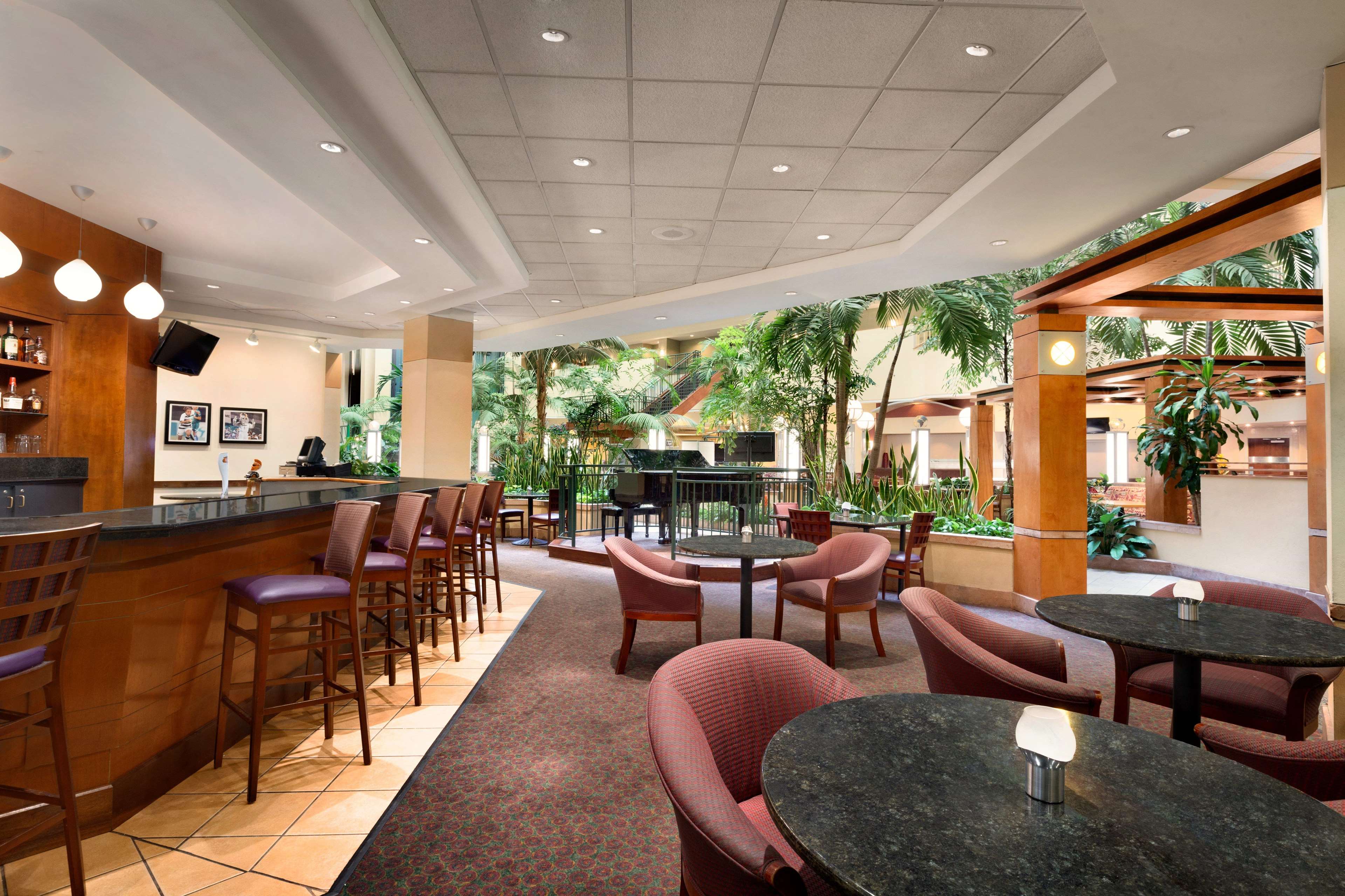 Embassy Suites by Hilton Tampa USF Near Busch Gardens Photo