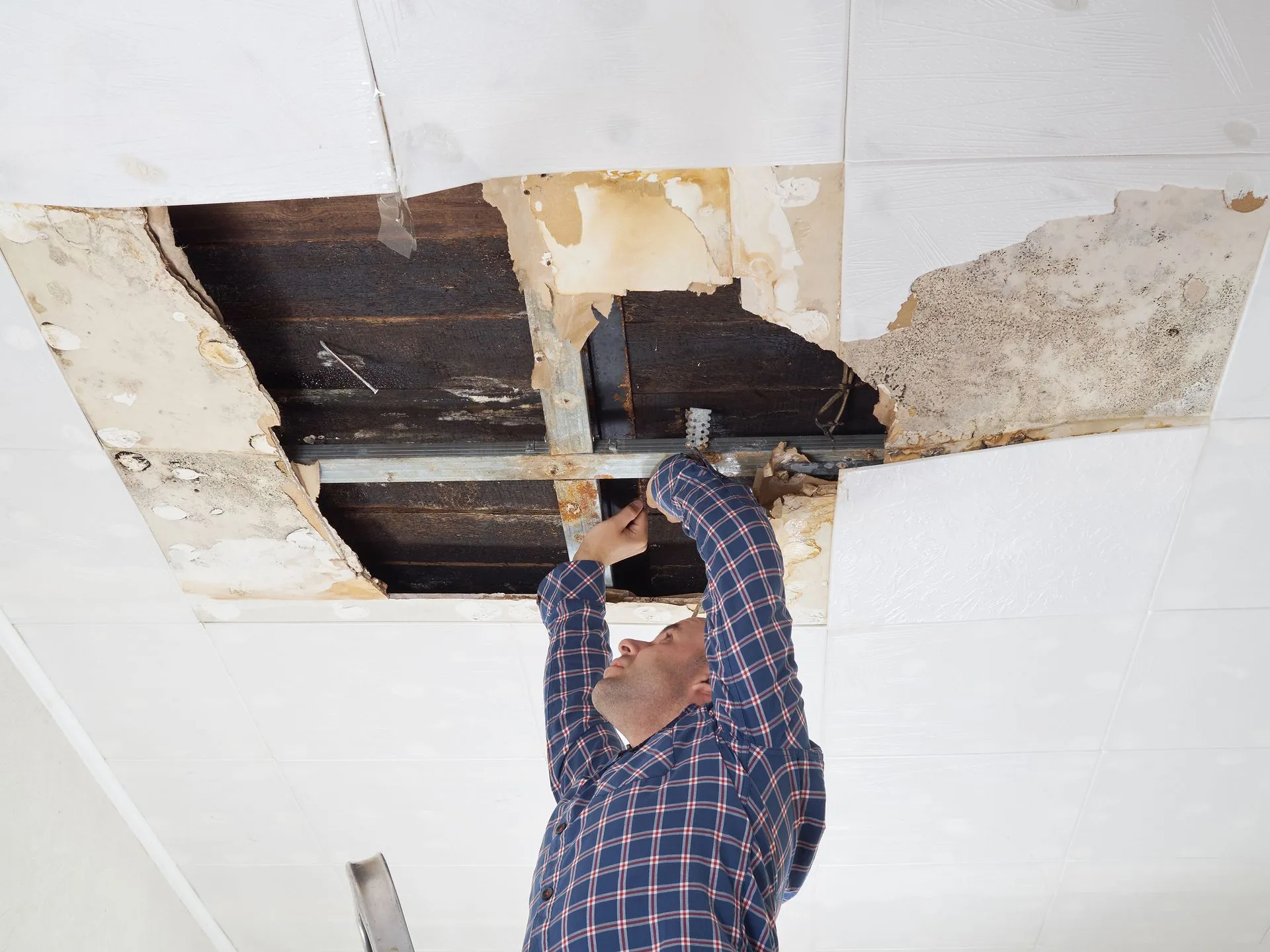 Water Damage Restoration