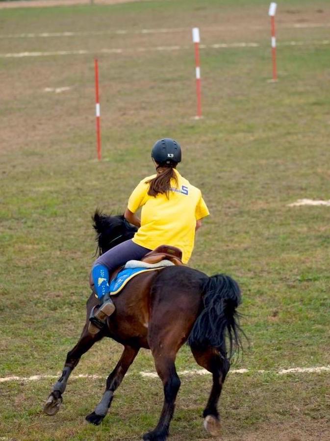 Pony Games au Blackyland