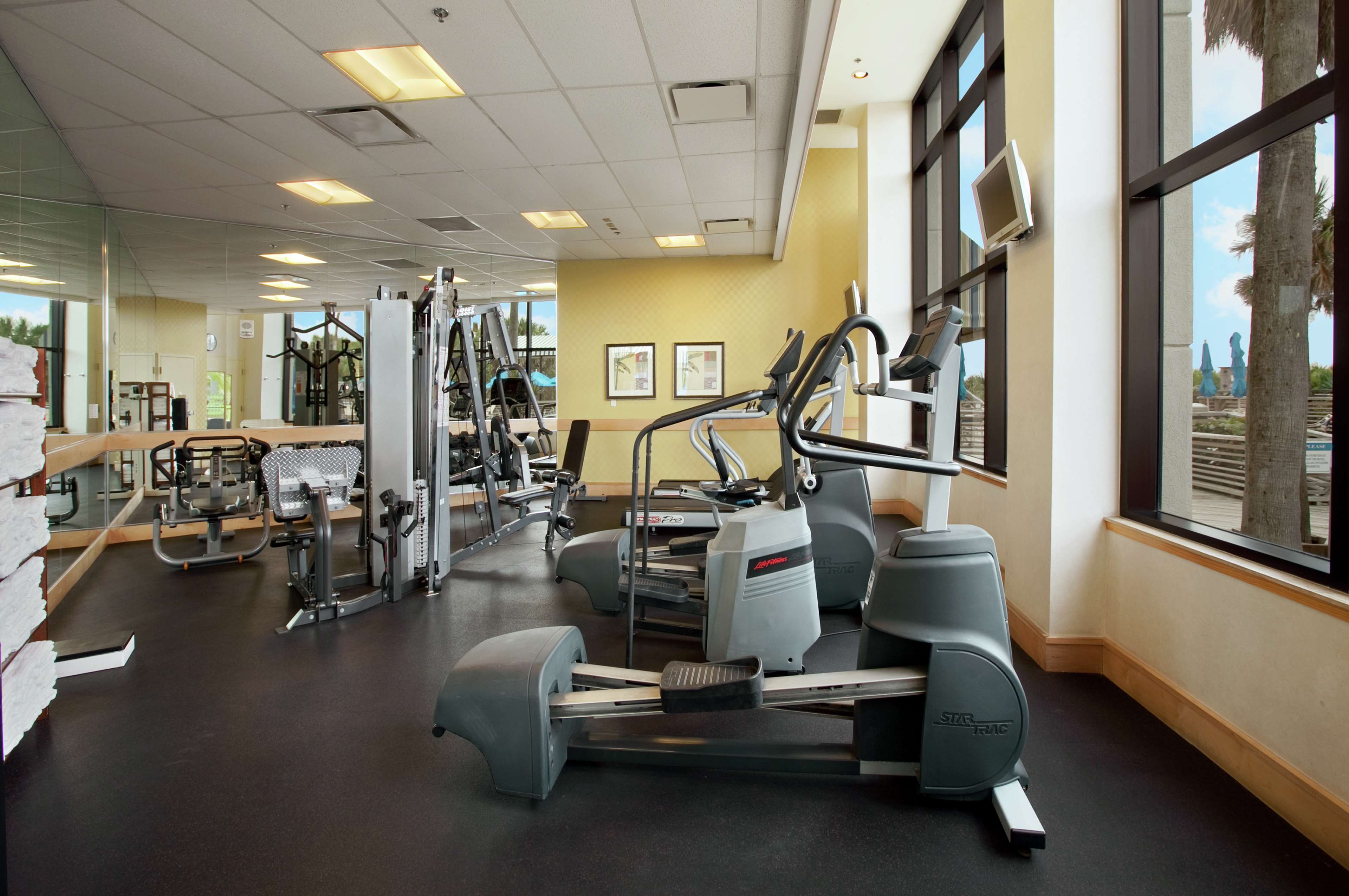 Health club  fitness center  gym