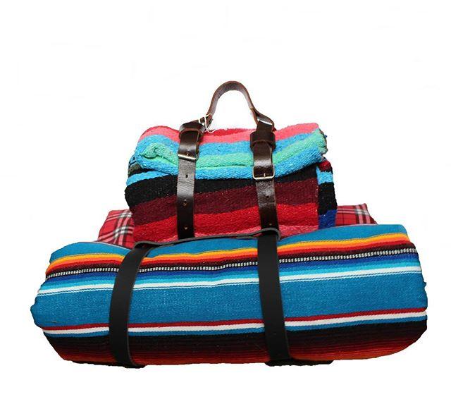 bruno's dog & cat boutique