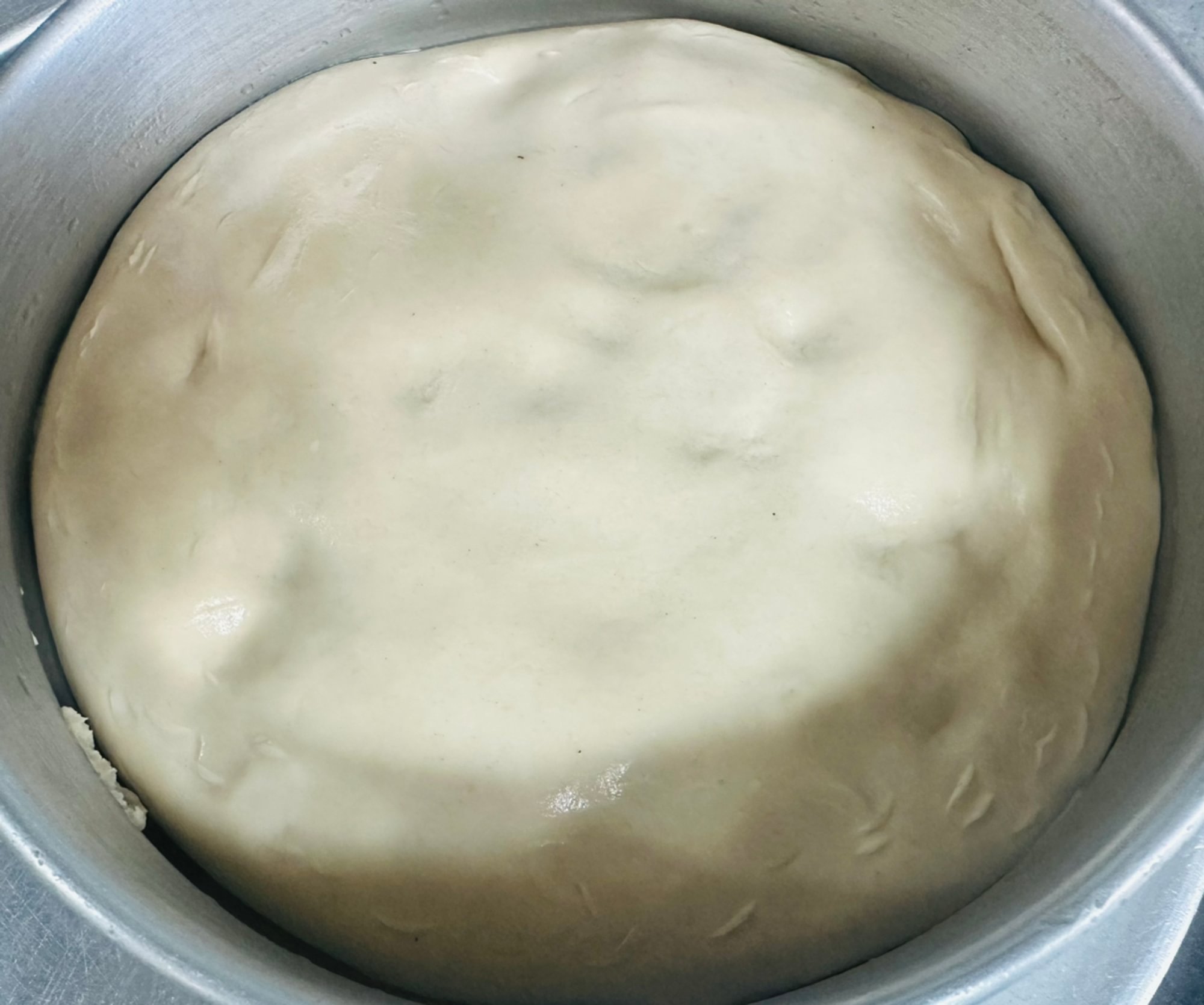Pizza Dough