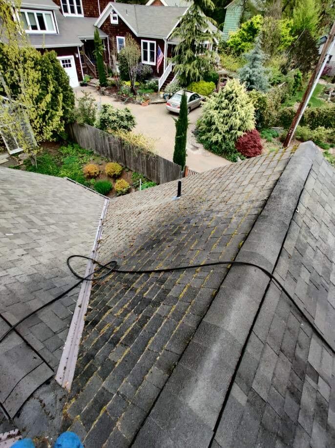 Roof Life Of Oregon Image