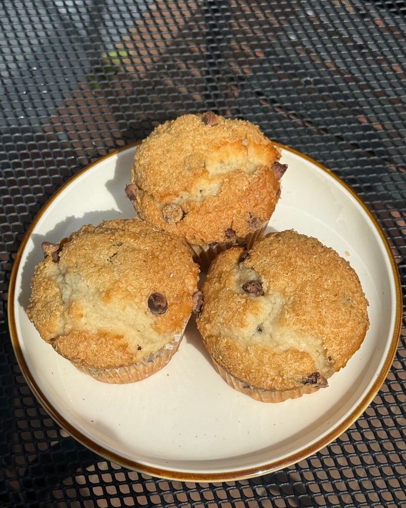 Chocolate Chip Muffin