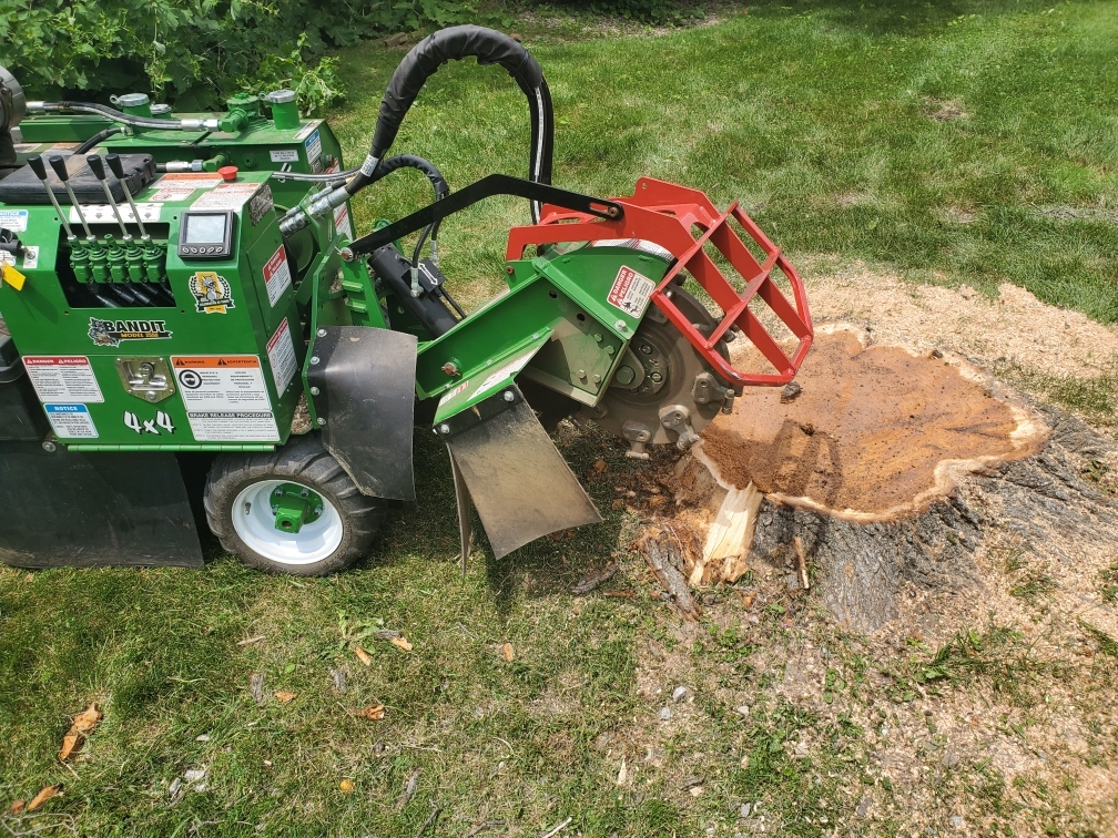 Dang Stumps, LLC Logo