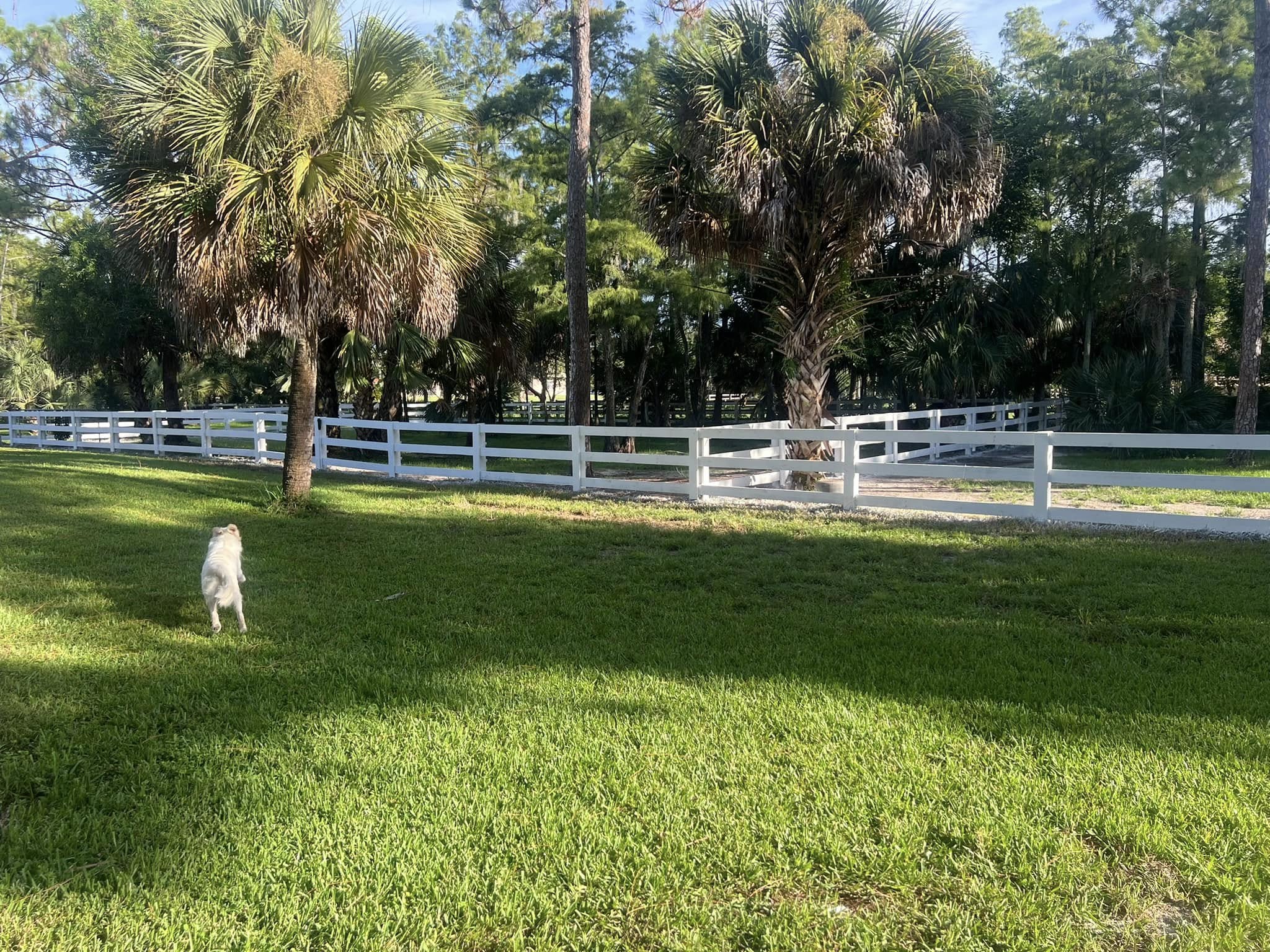 Top Rail Fence Pompano Beach Image