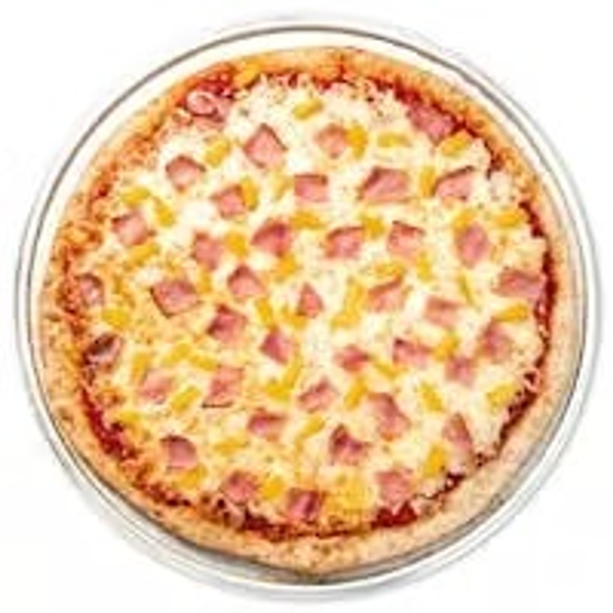 One Pizza Two Topping Pizza Special (18")