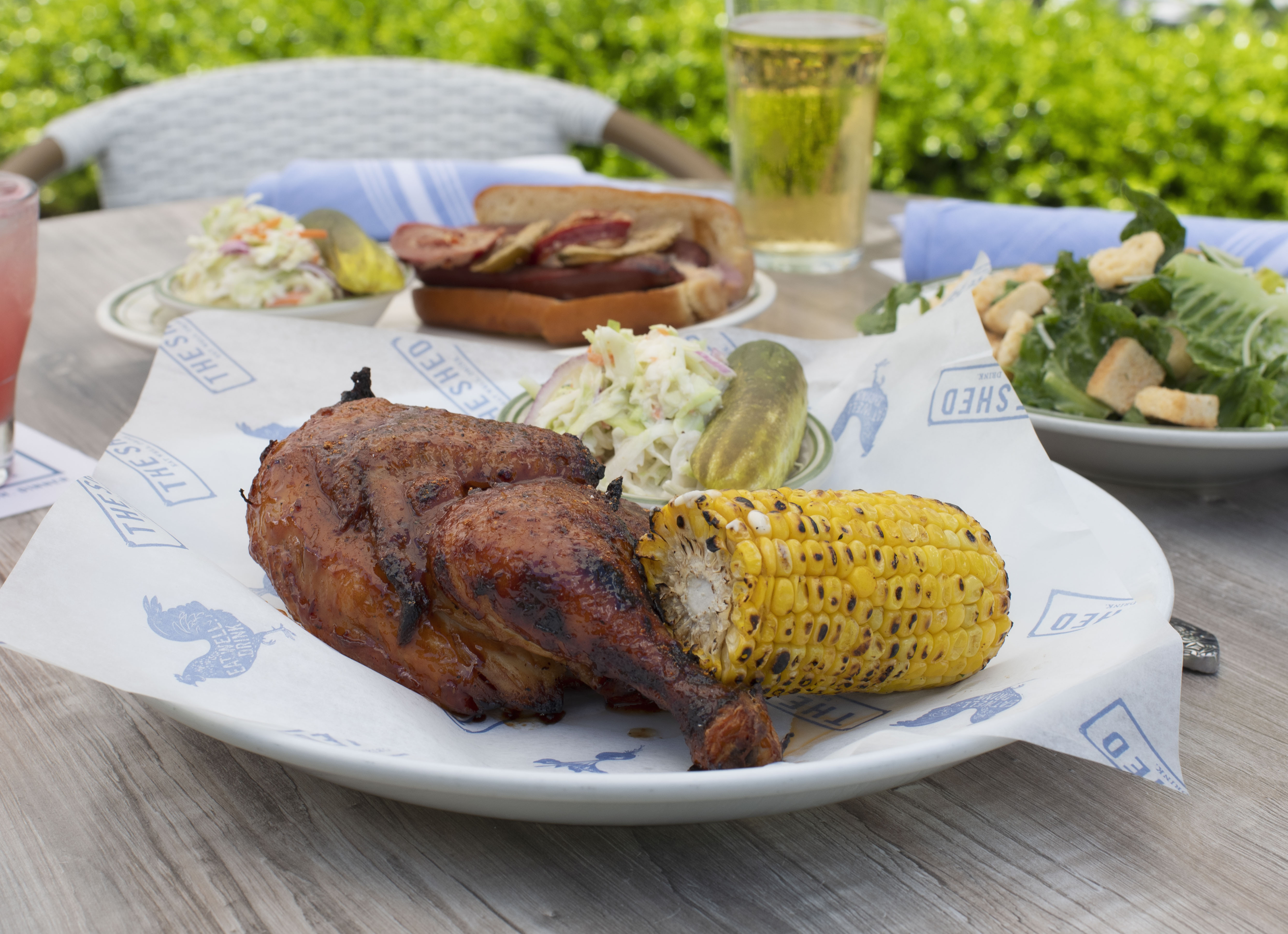 Backyard Chicken