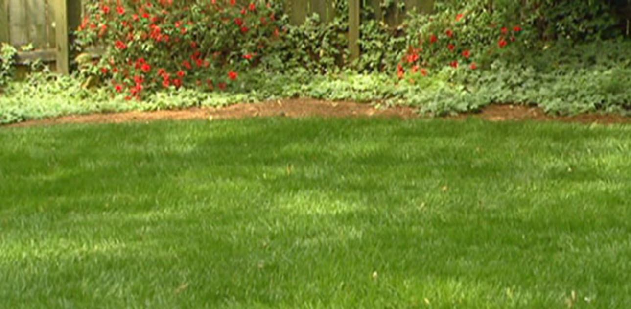 Images Kollegiate Lawn Care