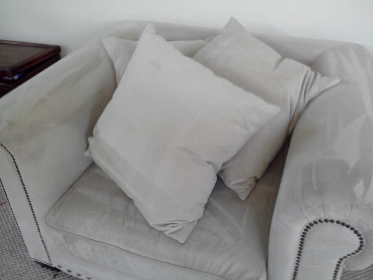 jenbricarpetcleaningorlando.com Image