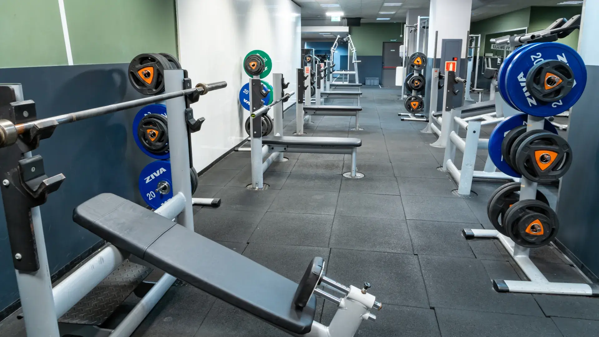 Galería de imágenes