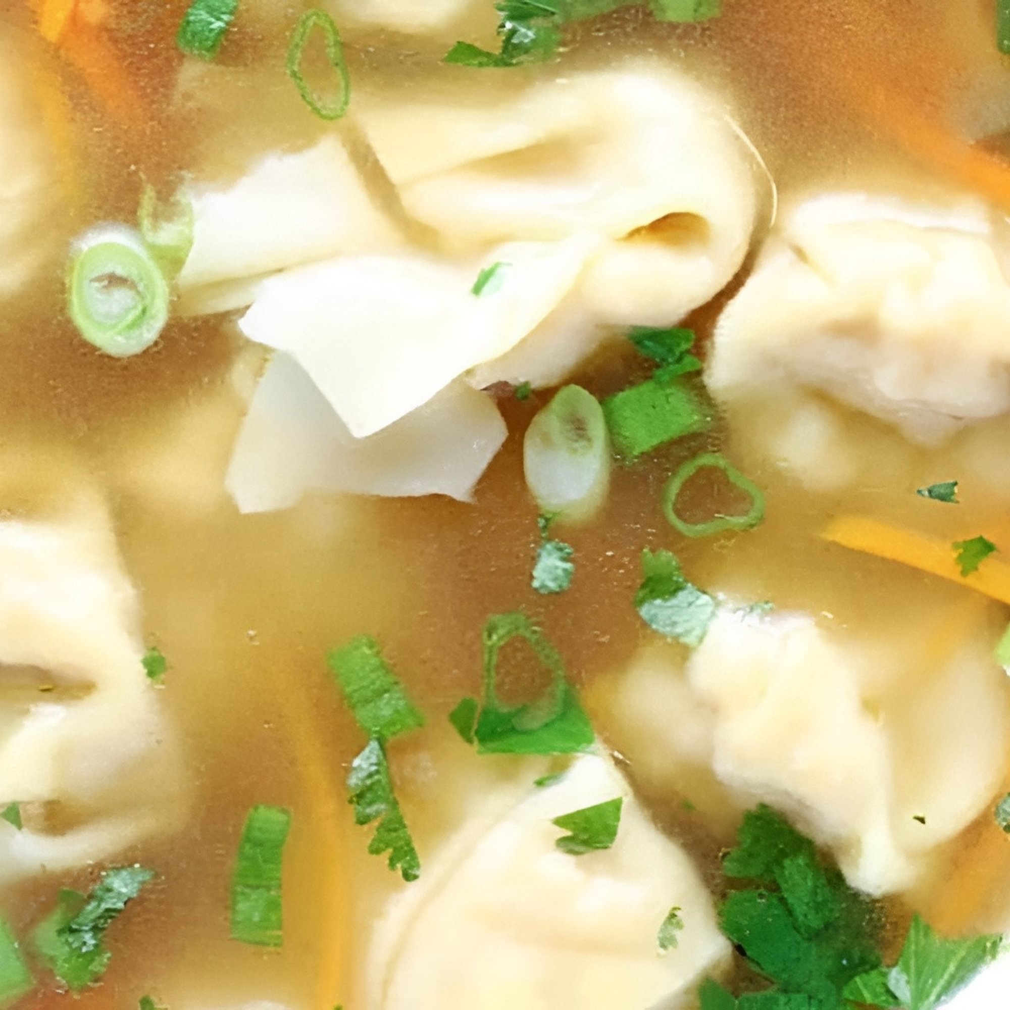 Wonton Soup