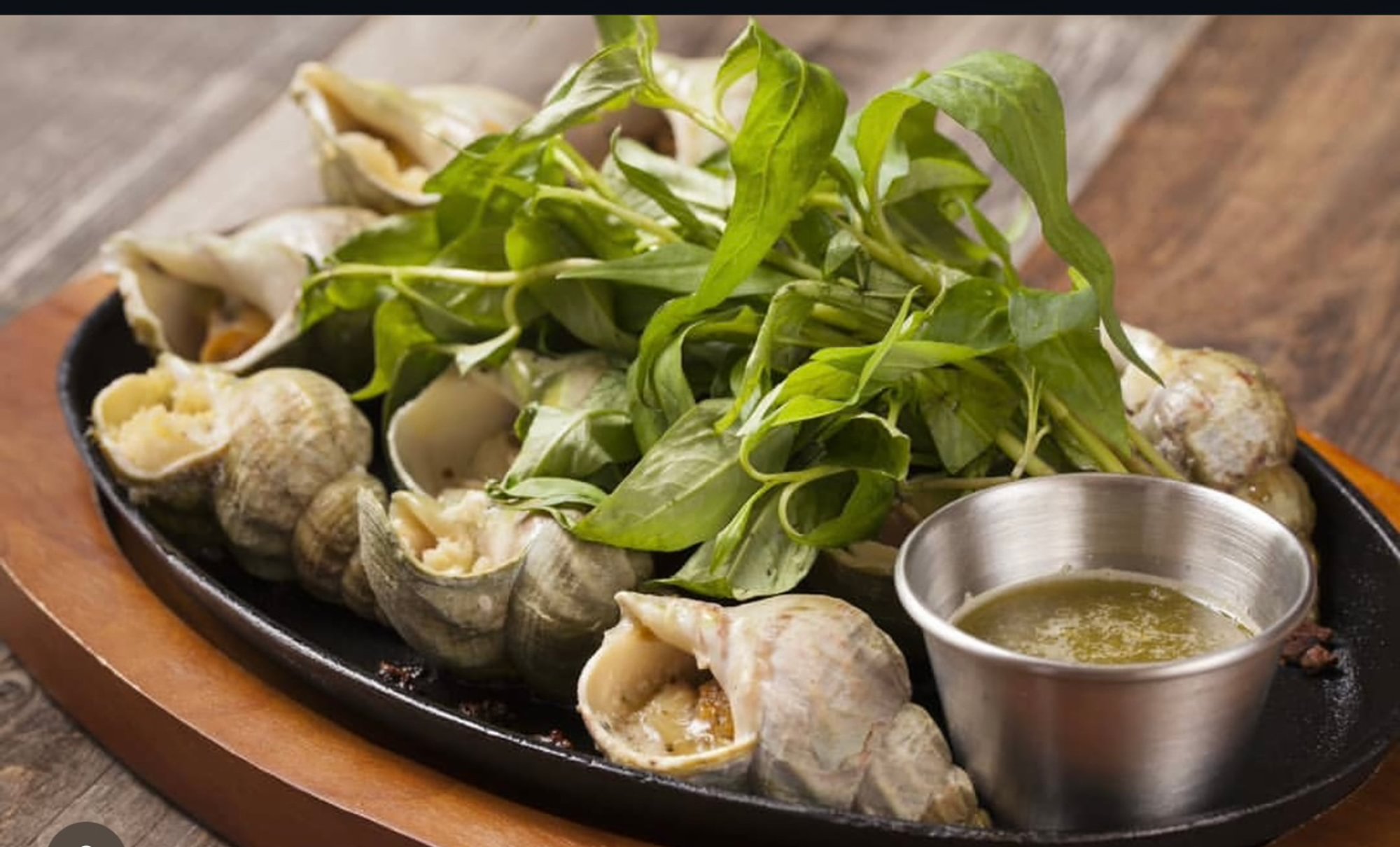 Whelk (Oc Bien)