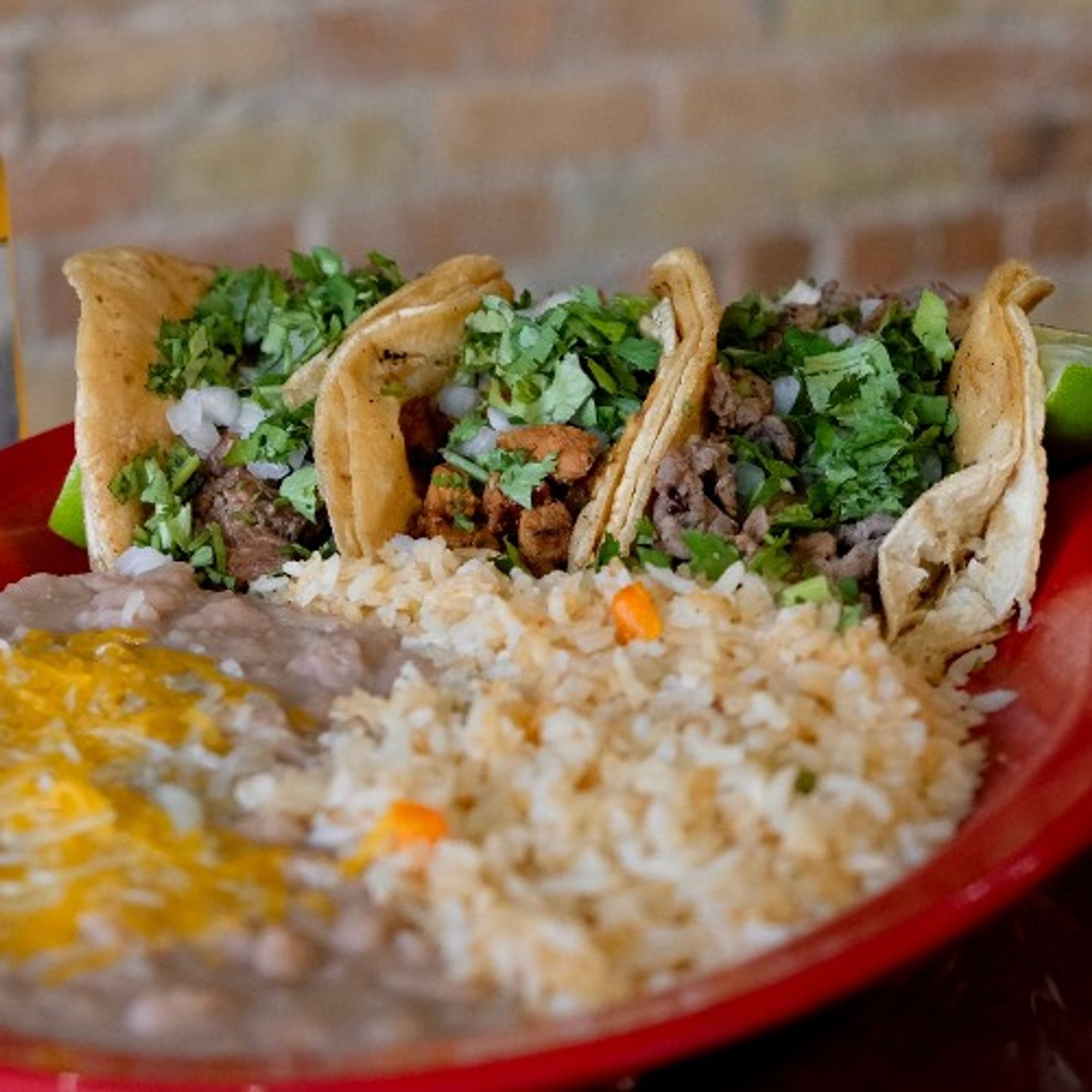 Taco Dinner Plate