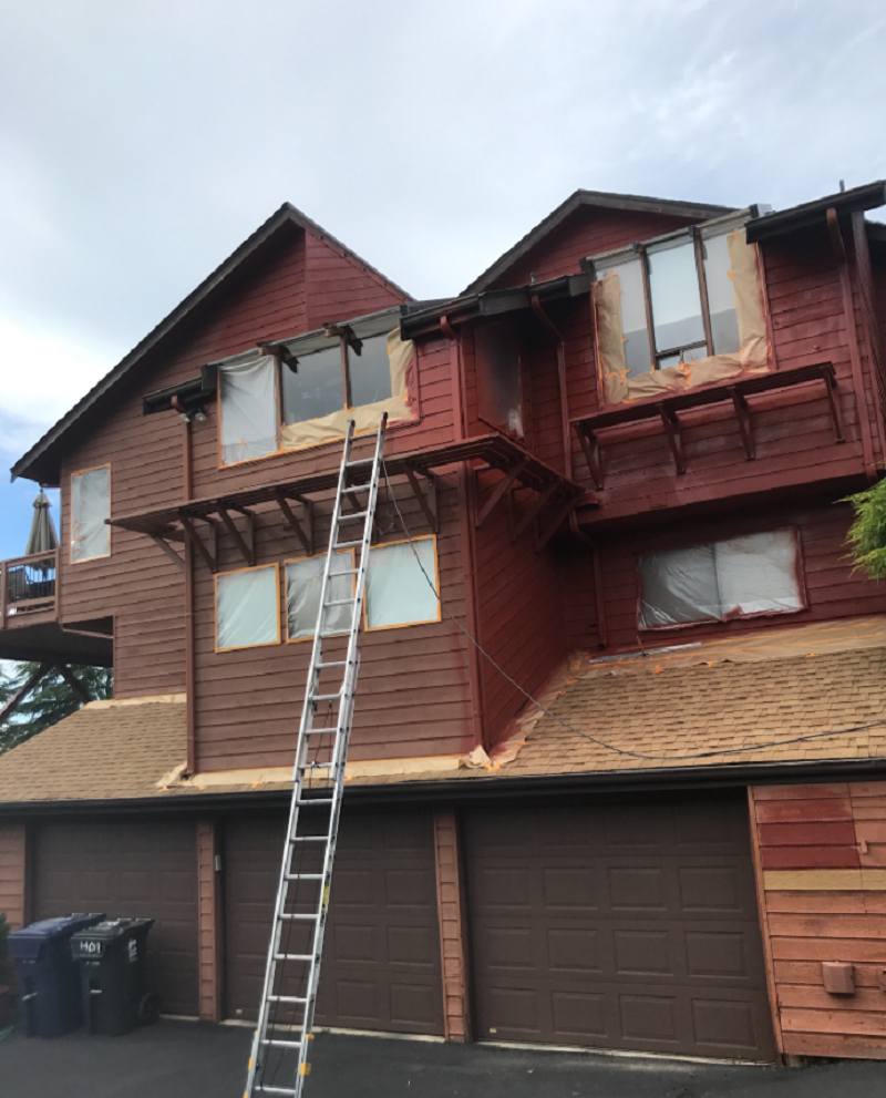 Cover Pro Painting Image