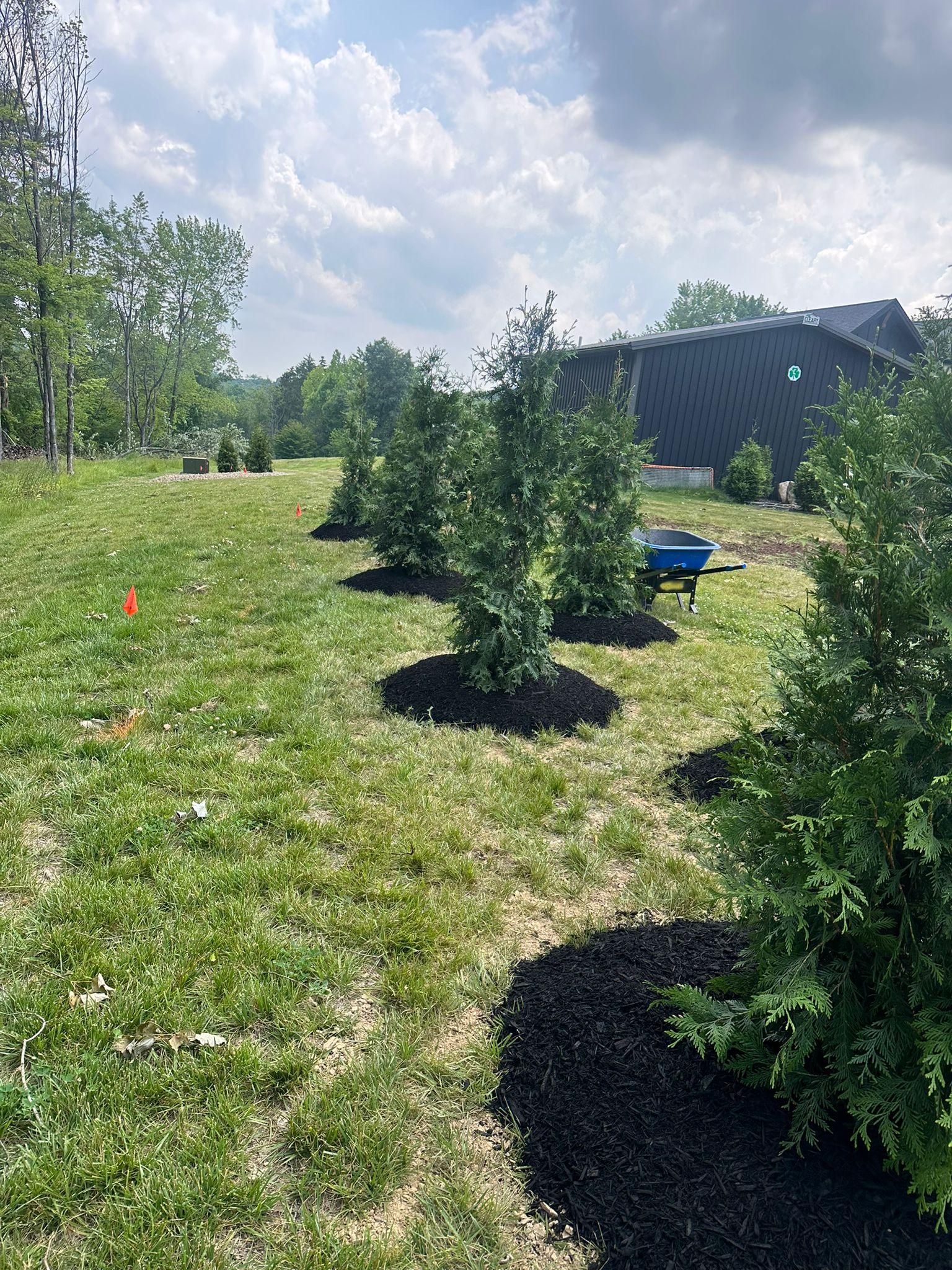 The Treesdale Landscape Company Image