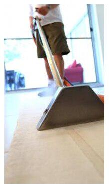 Killyptus Carpet Cleaning & Pest Management Paroo
