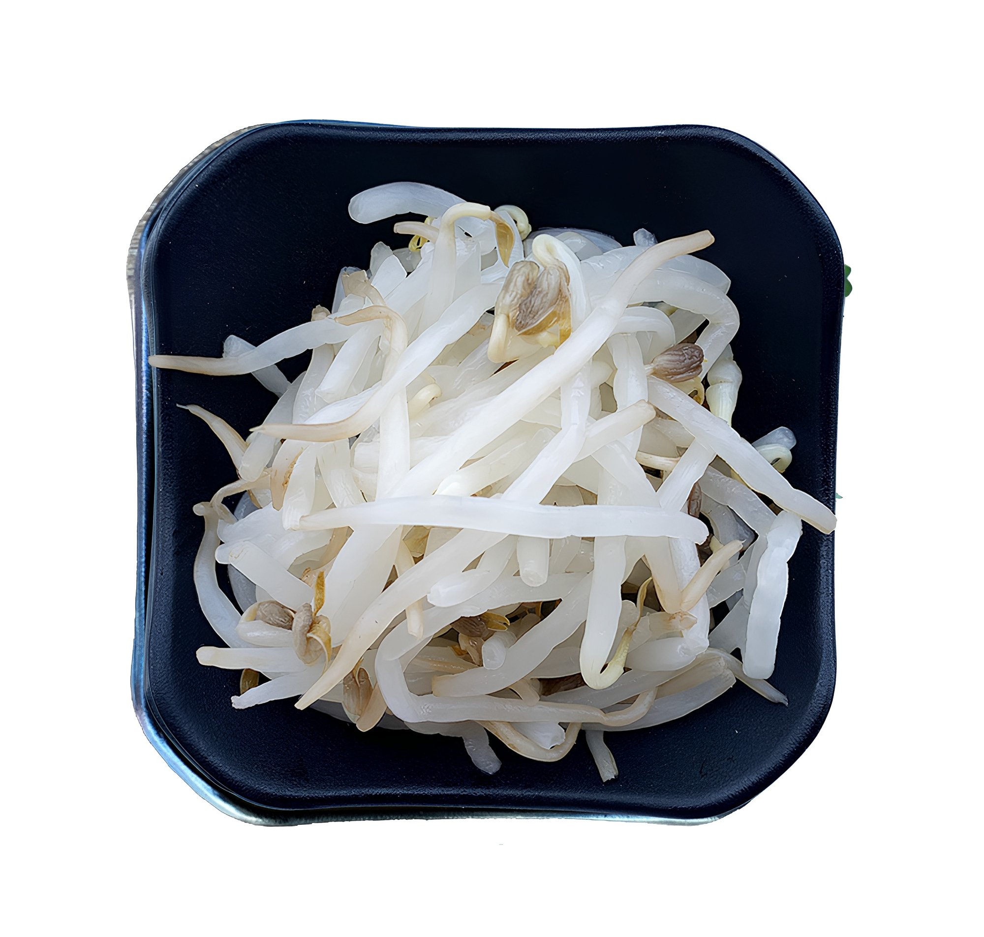 Bean Sprout