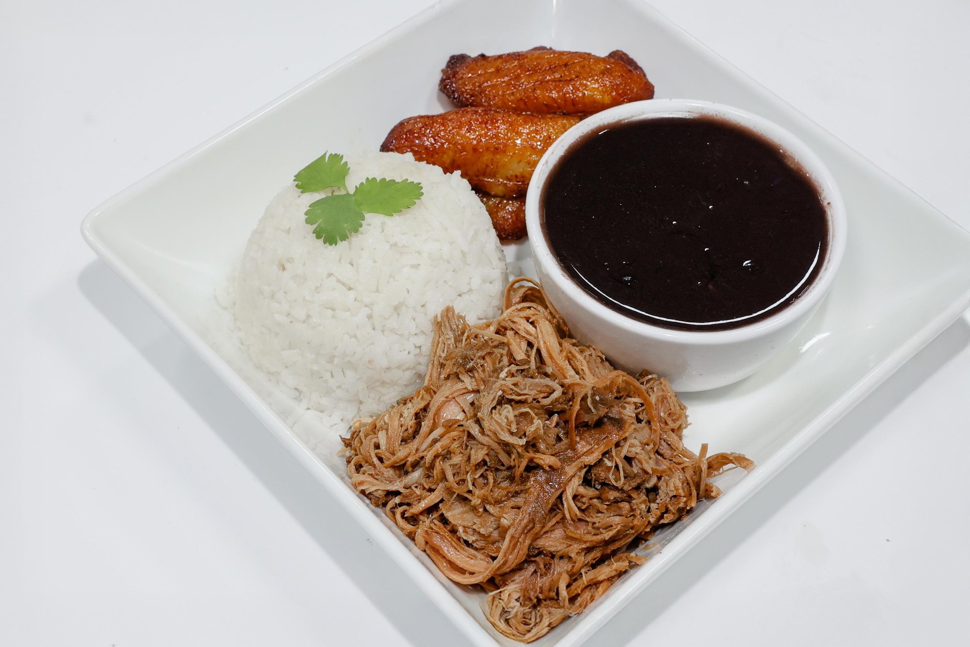 #8 Pork Carnitas