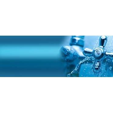 Faucetman Plumbing Services and Electronic Detections Since 1981