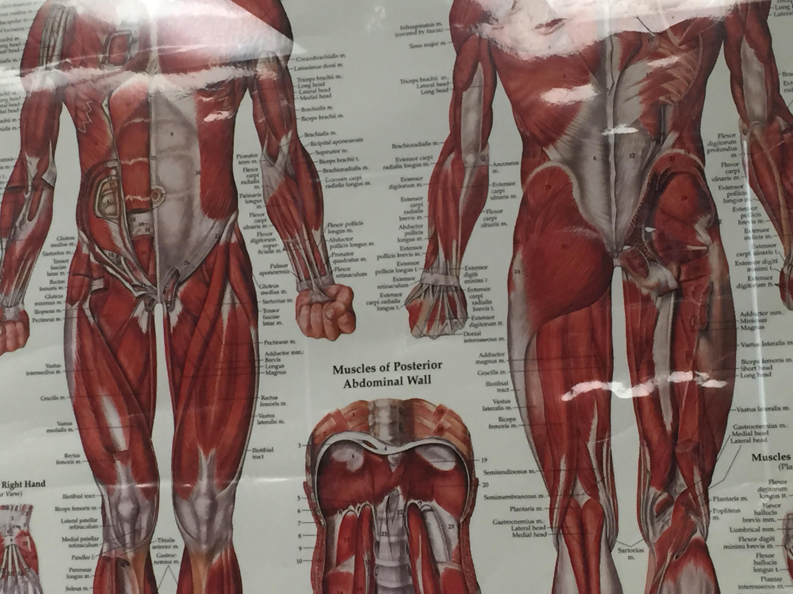 tje difference between 