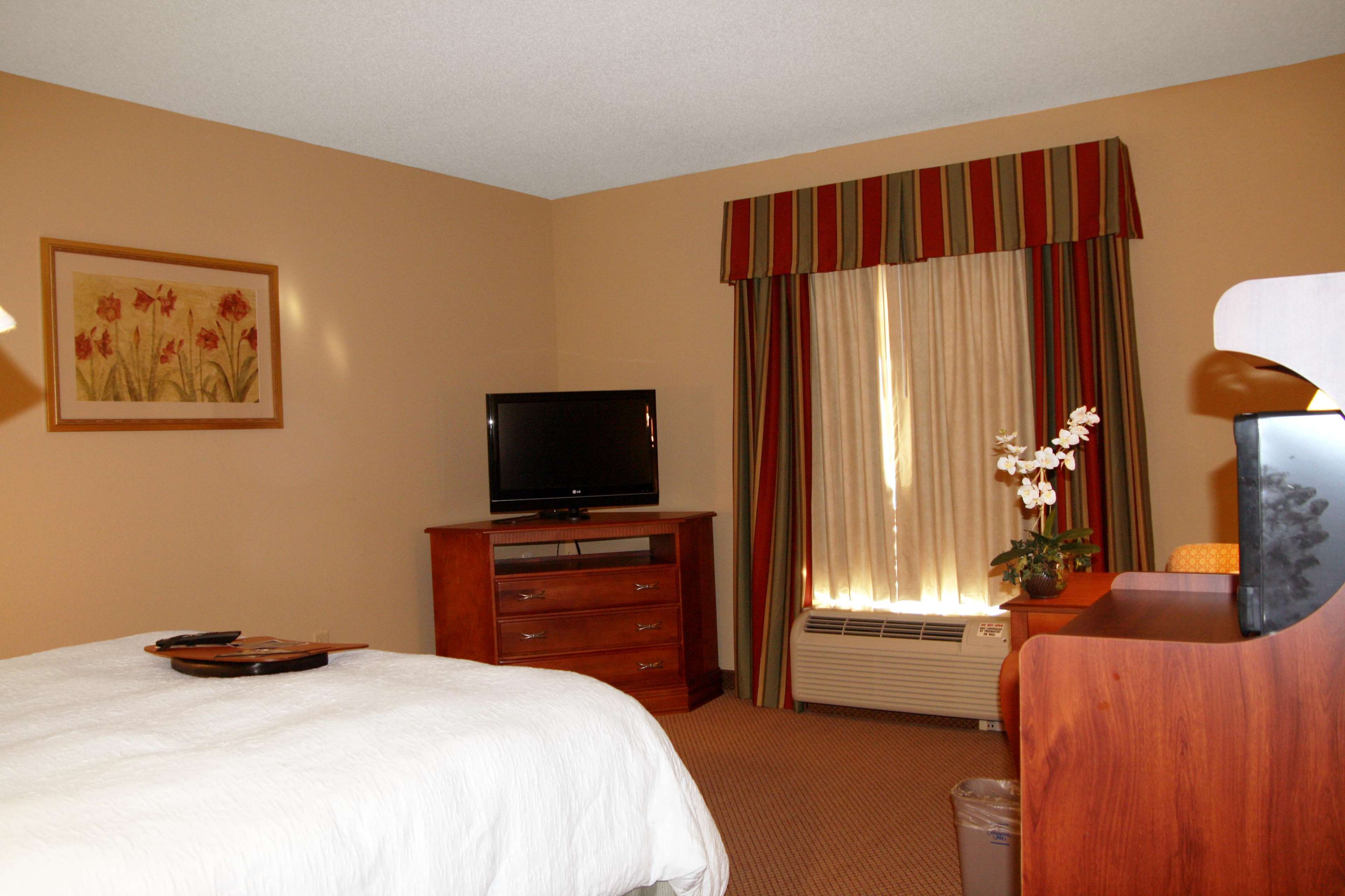 Hampton Inn Greenville Photo