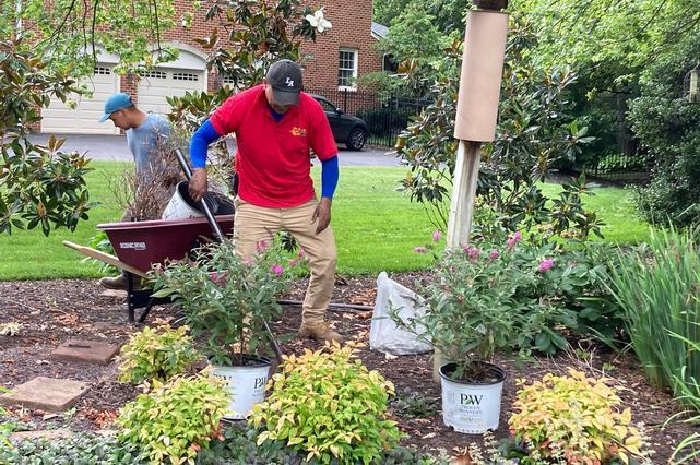 Betty's Azalea Ranch Image