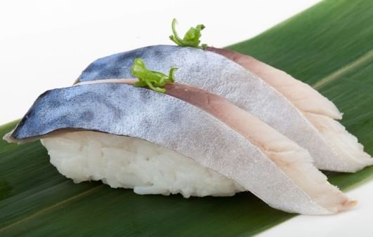 Mackerel