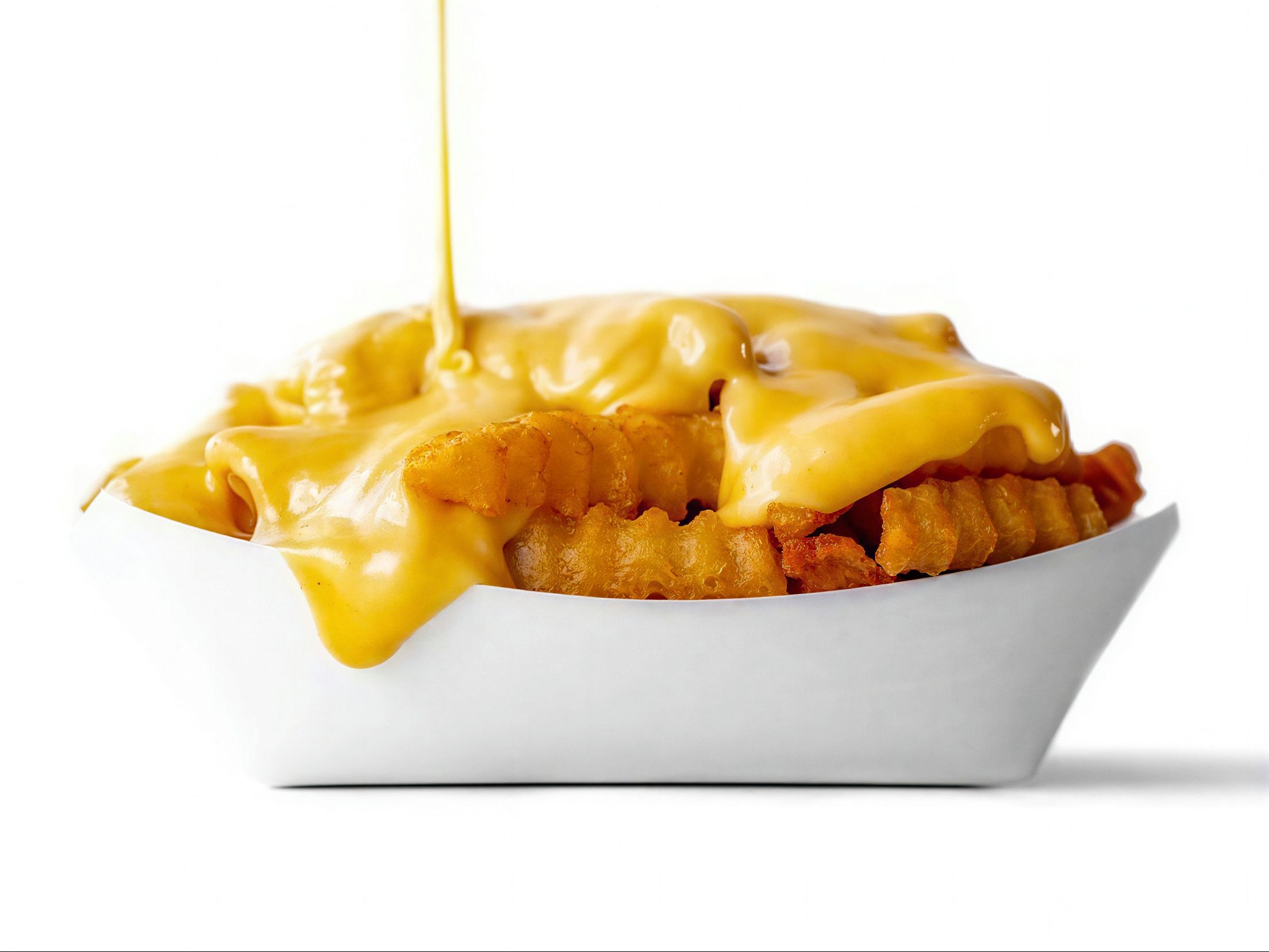 Cheese Fries
