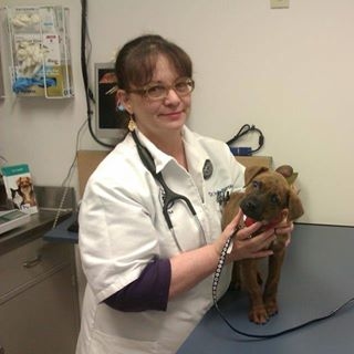 Images Adamson Veterinary Service