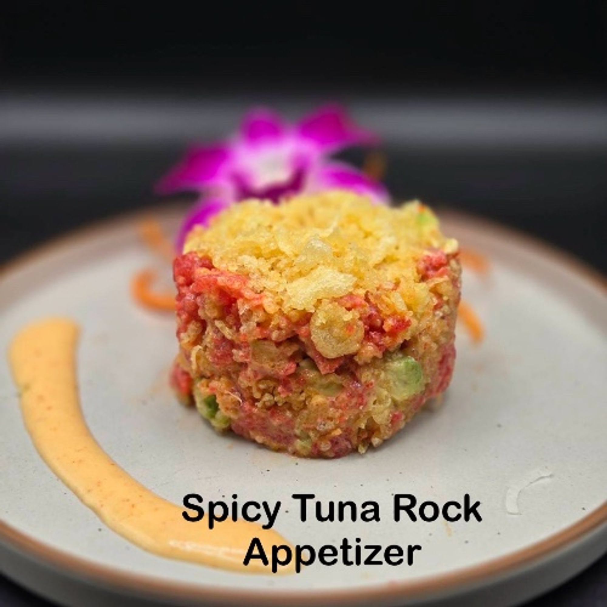 Spicy Tuna Rock appetizer