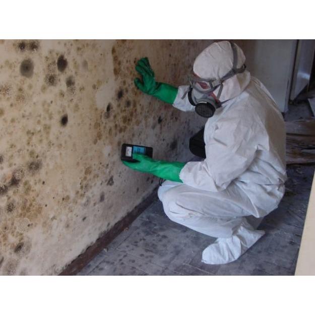 All Clean Mold Remediation