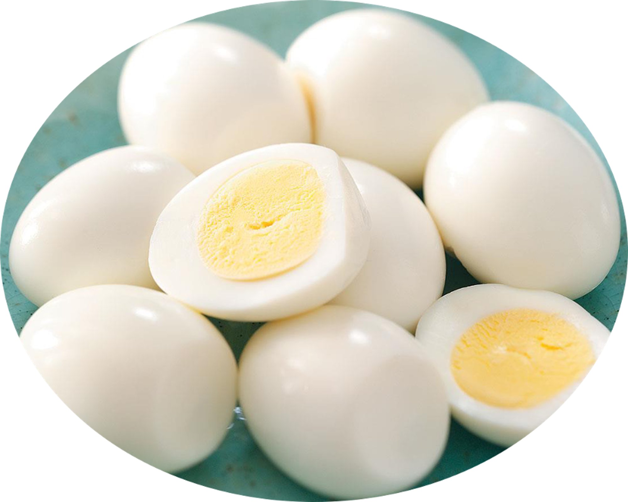 Boiled Egg