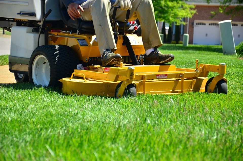 R & C Tree Care LLC