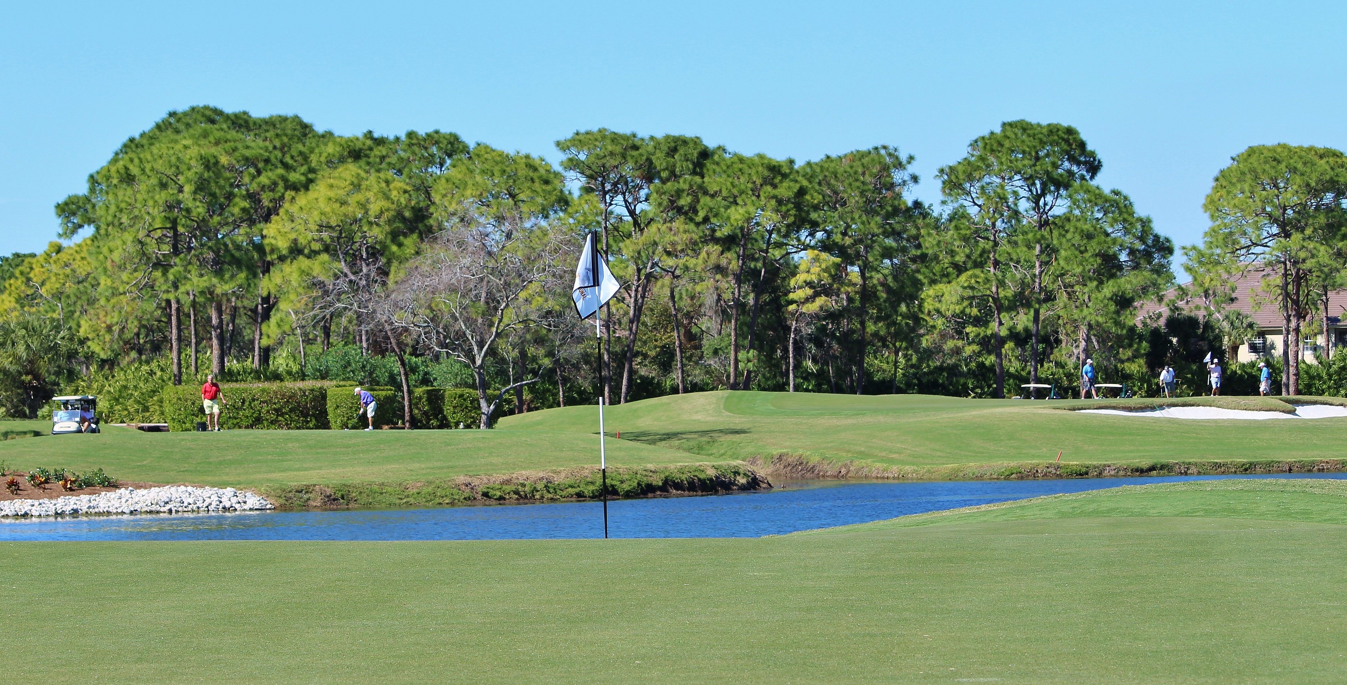 Pelican's Nest Golf Club at Pelican Landing Photo