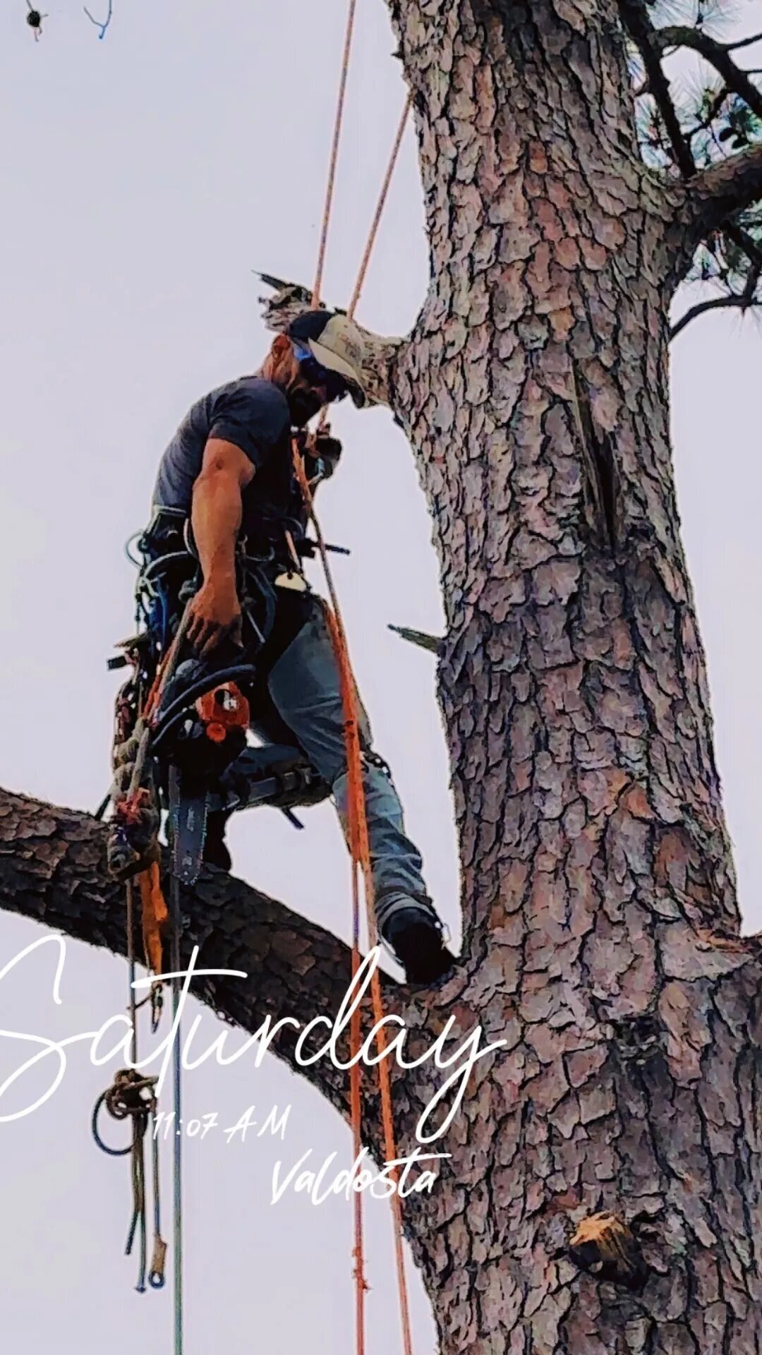 Tilman Tree Service Image