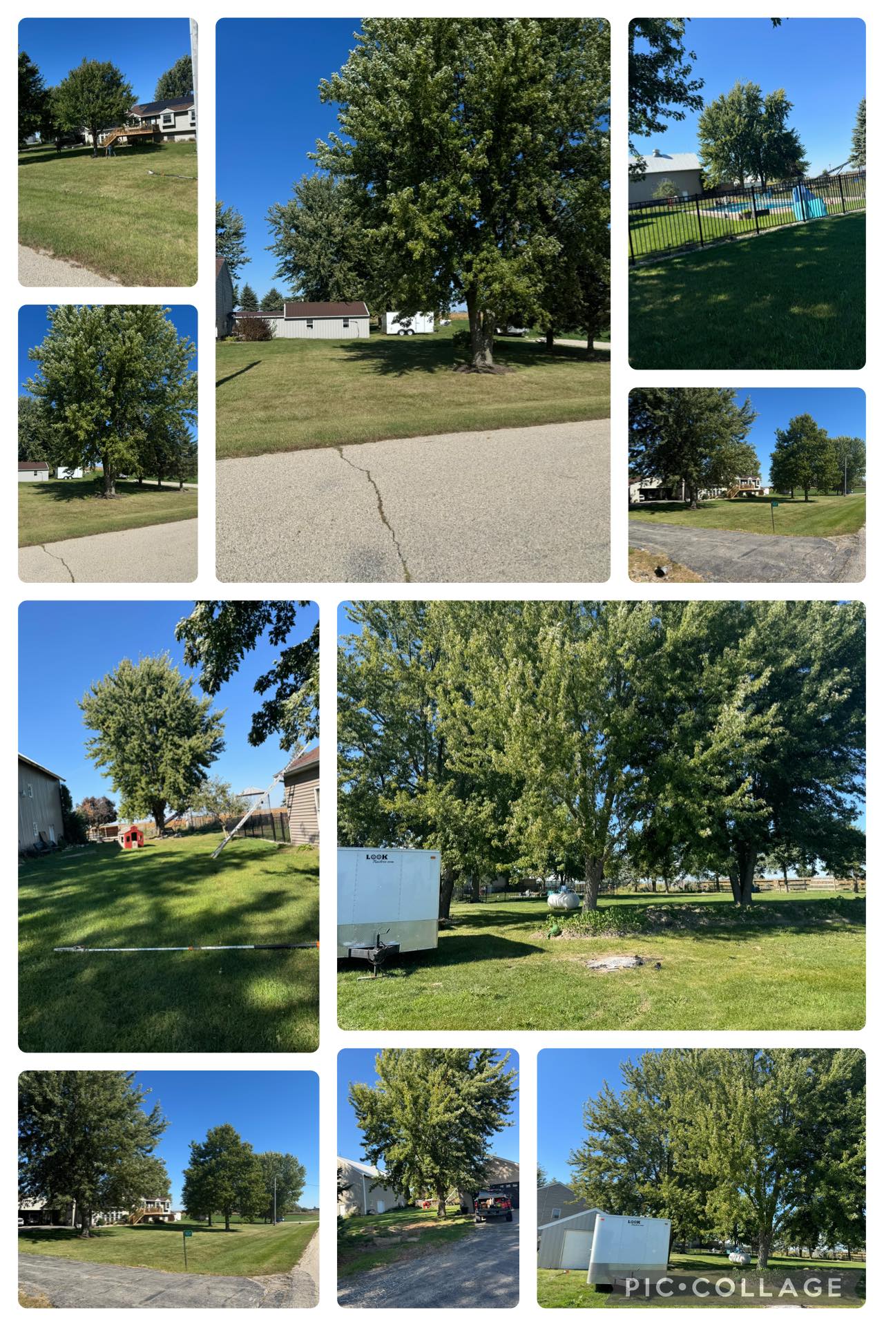 T’s Tree Service Image