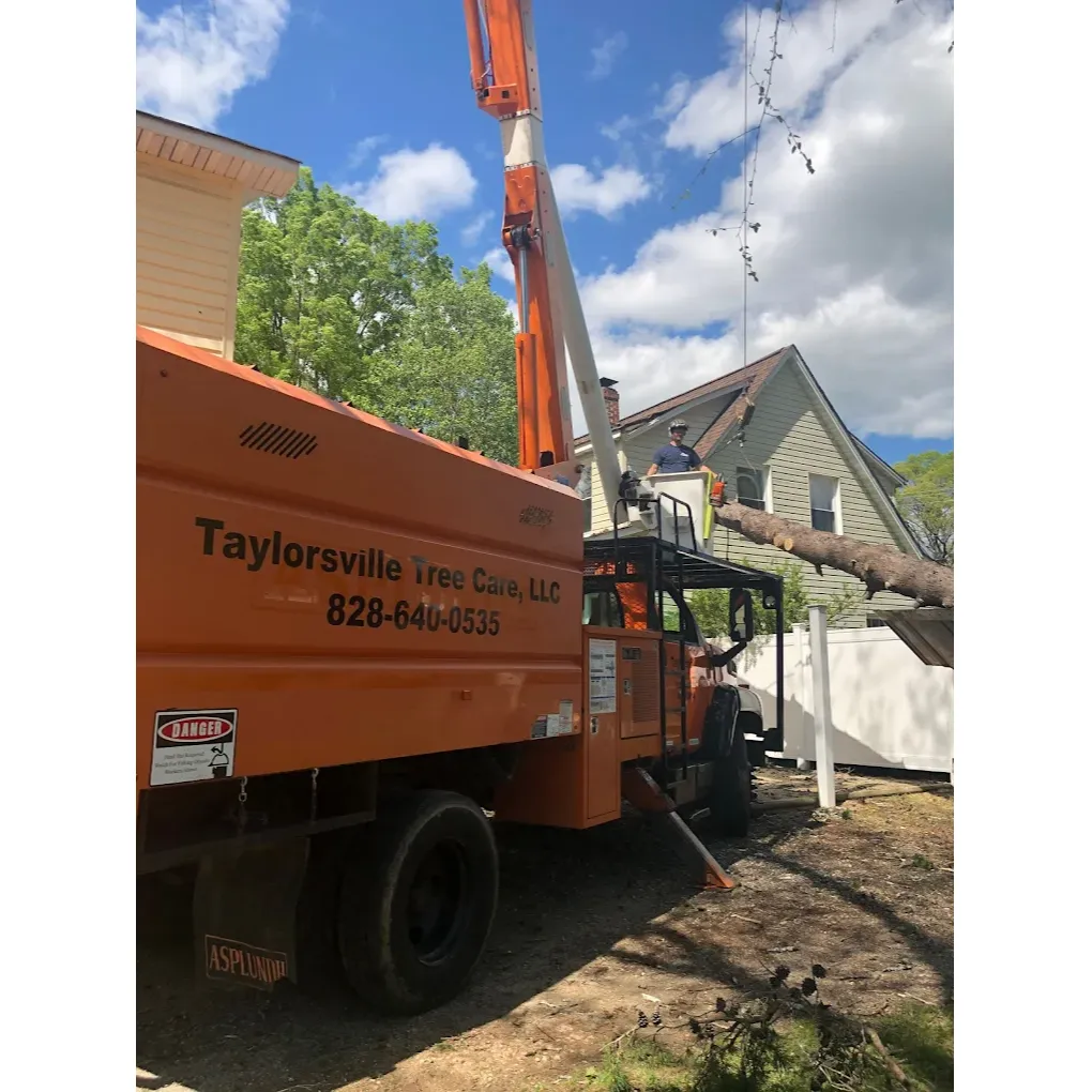 Taylorsville Tree Care Image