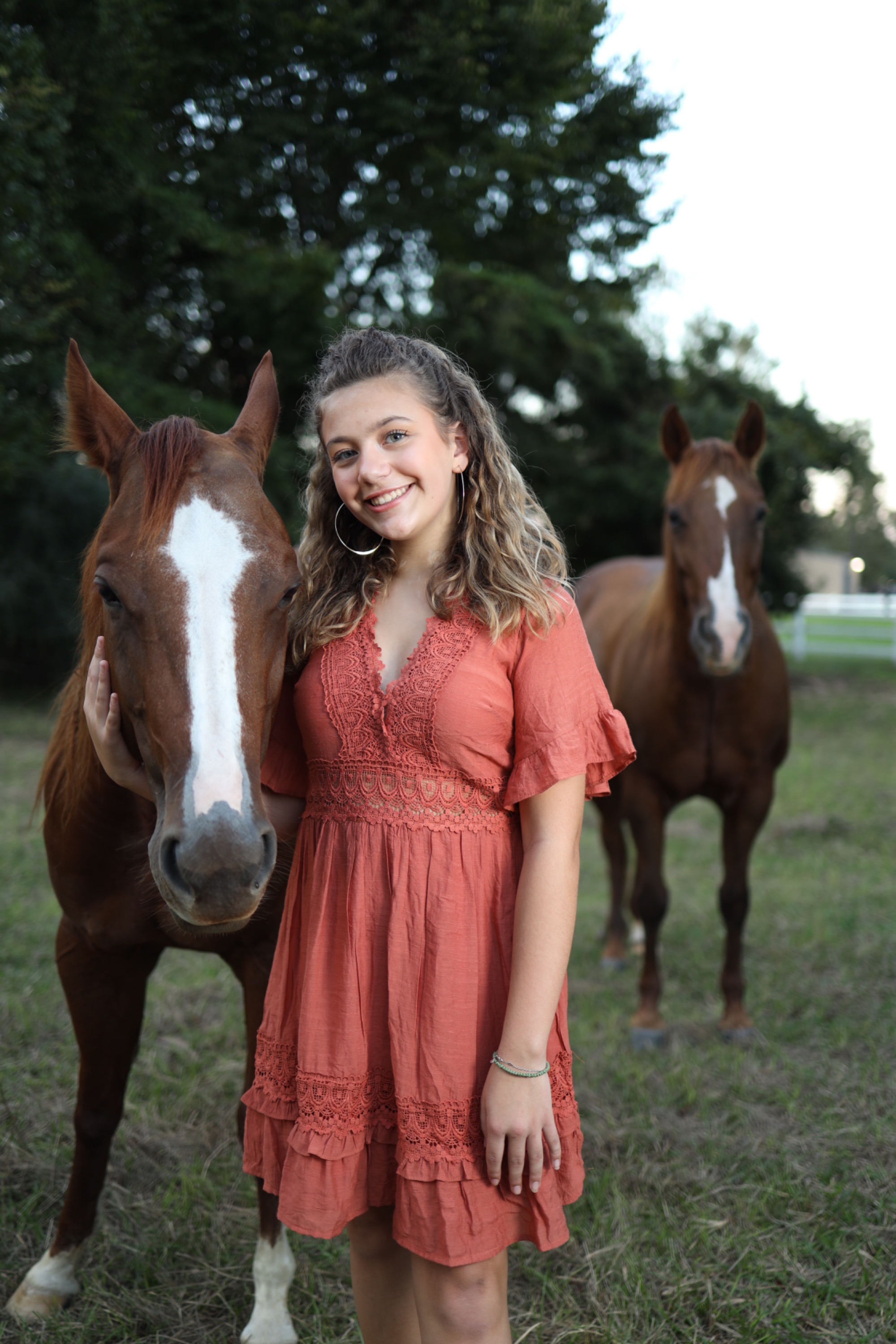 CTG Horse, LLC Image