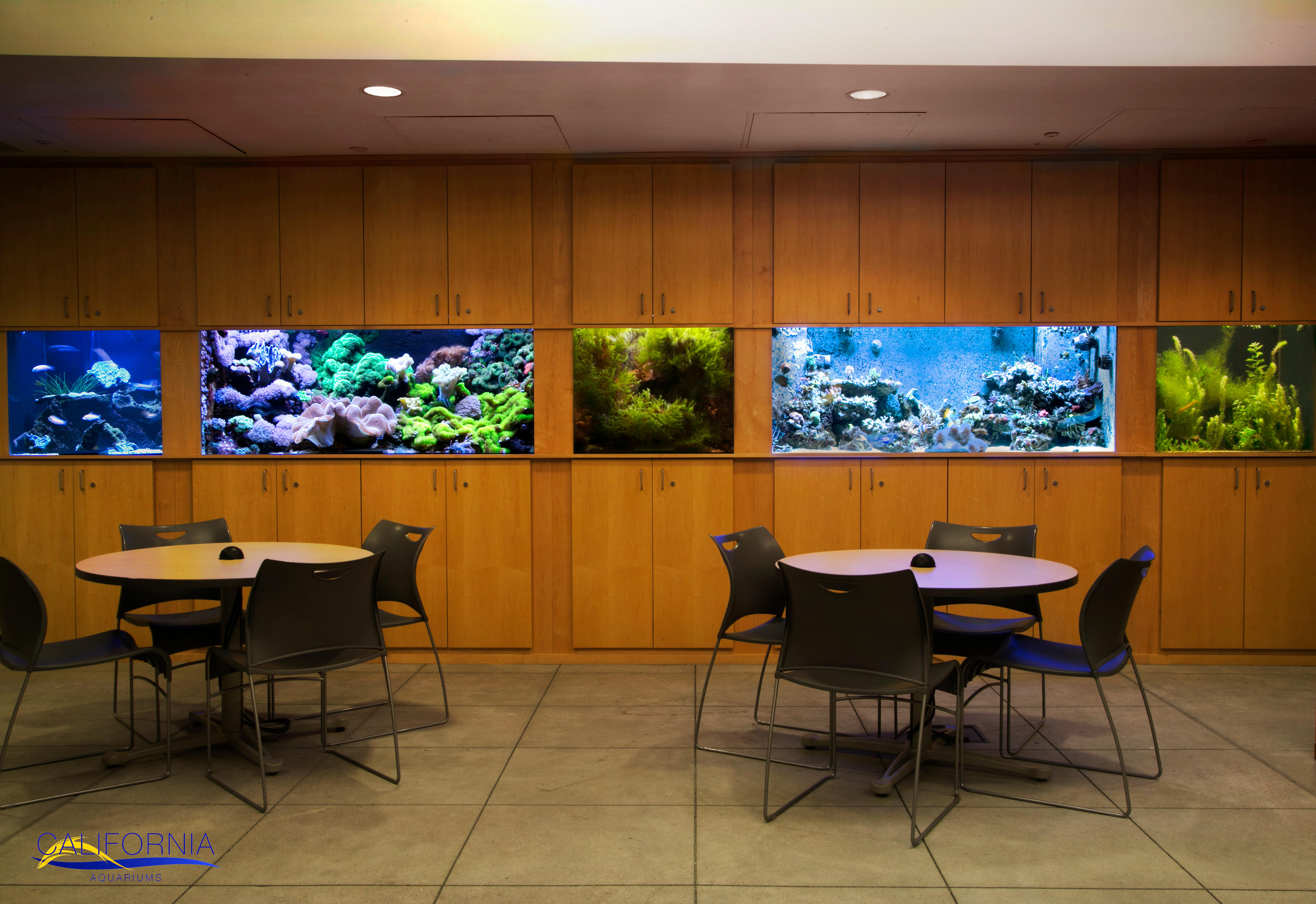 California Aquariums Logo