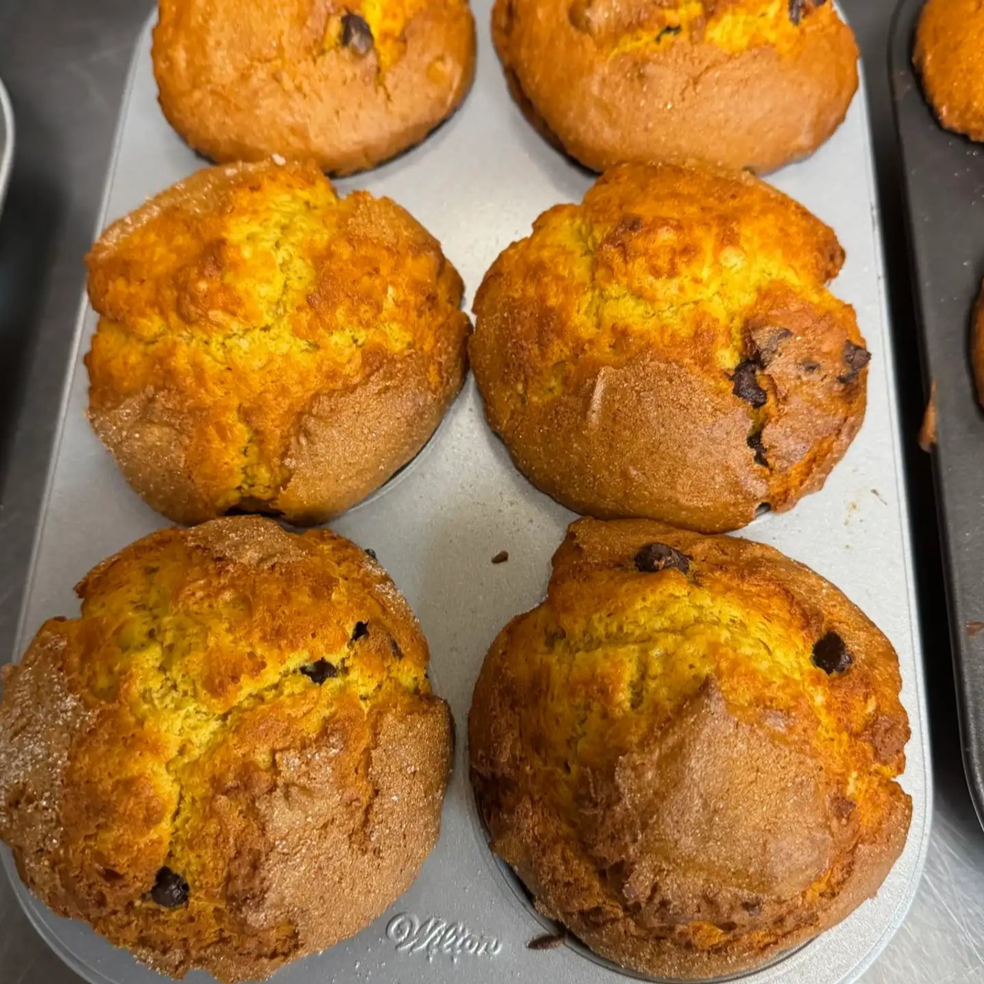 Pumpkin Chocolate Chip Muffins