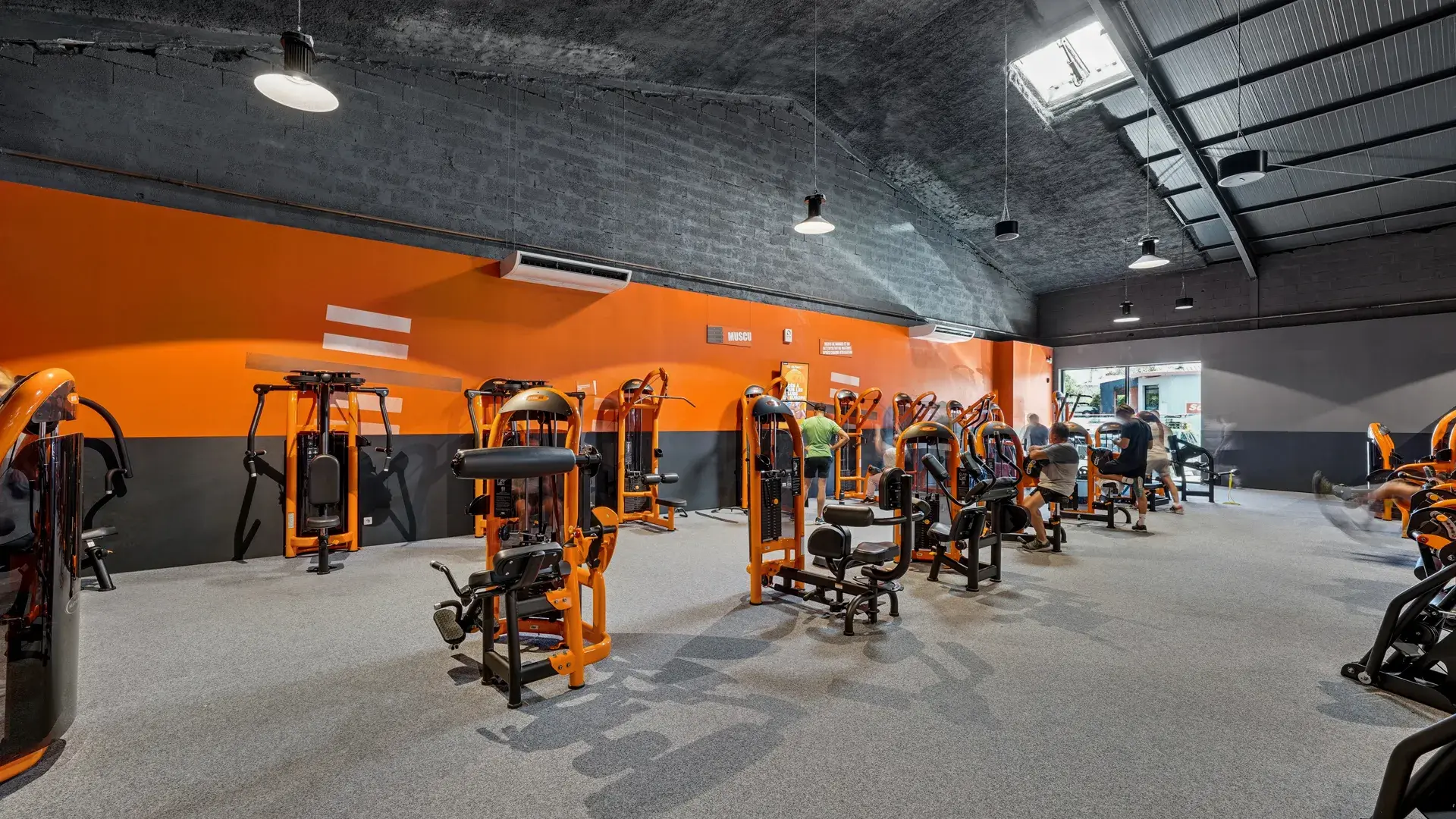 Miniature de la galerie