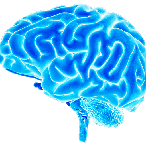 Hearing and Brain Centers of America - Cedar City