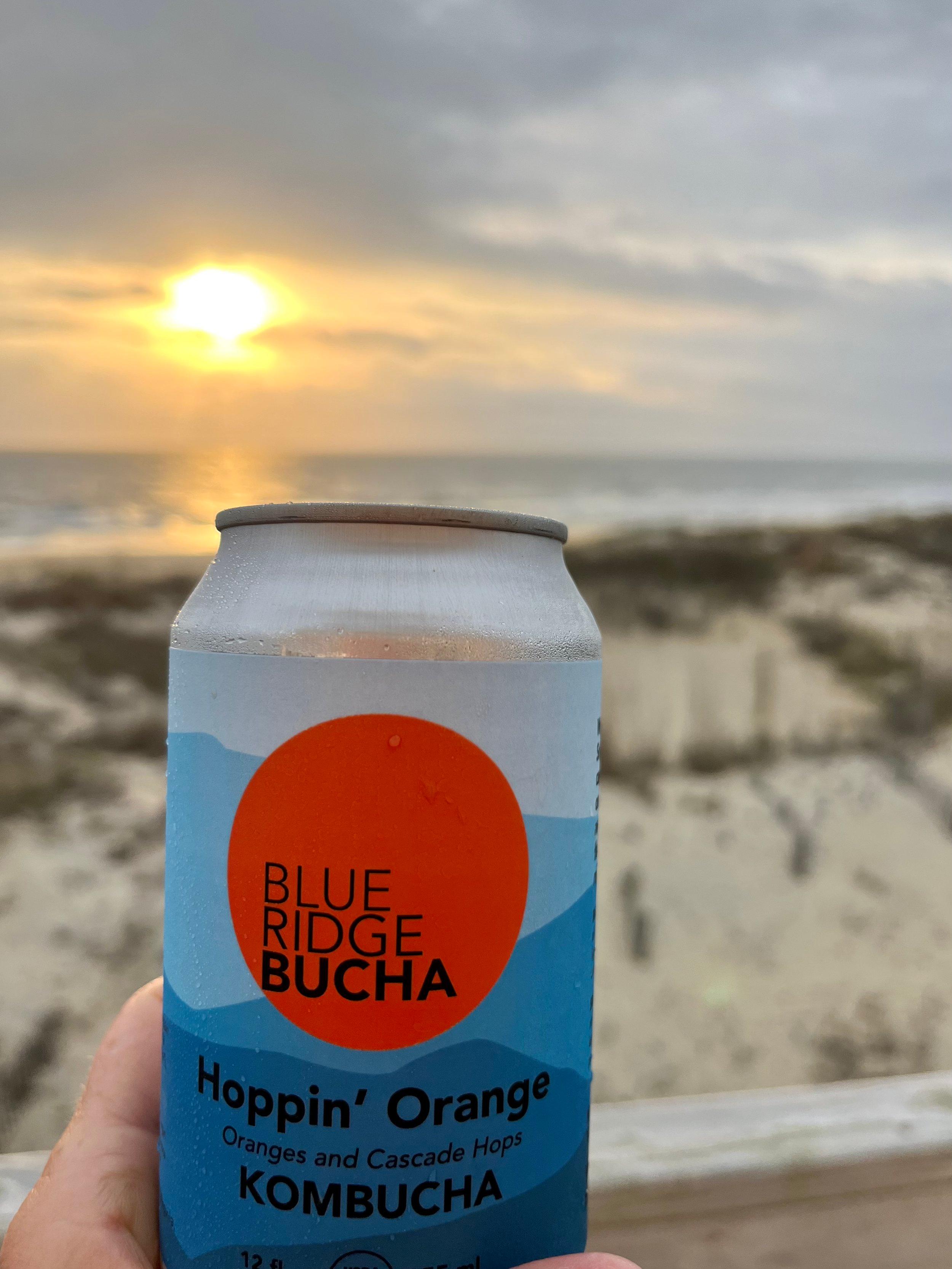 Blue Ridge Bucha Hoppin Orange