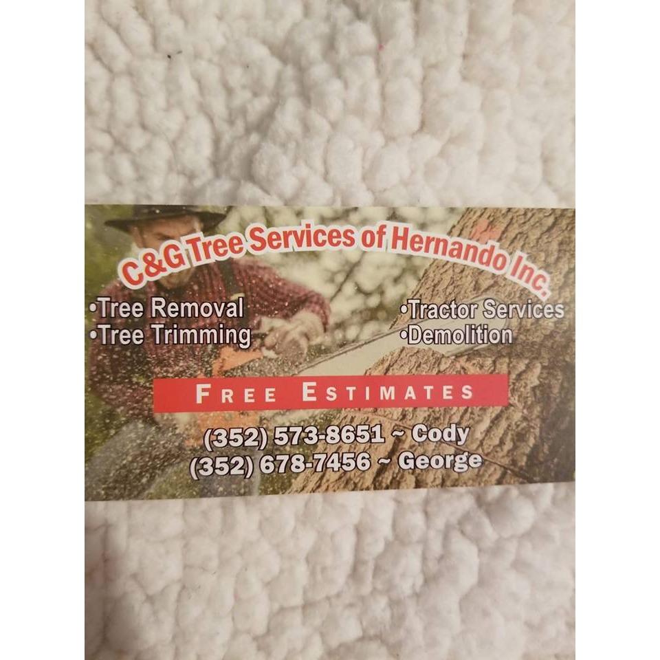 C &amp; G Tree Services of Hernando, Inc Logo
