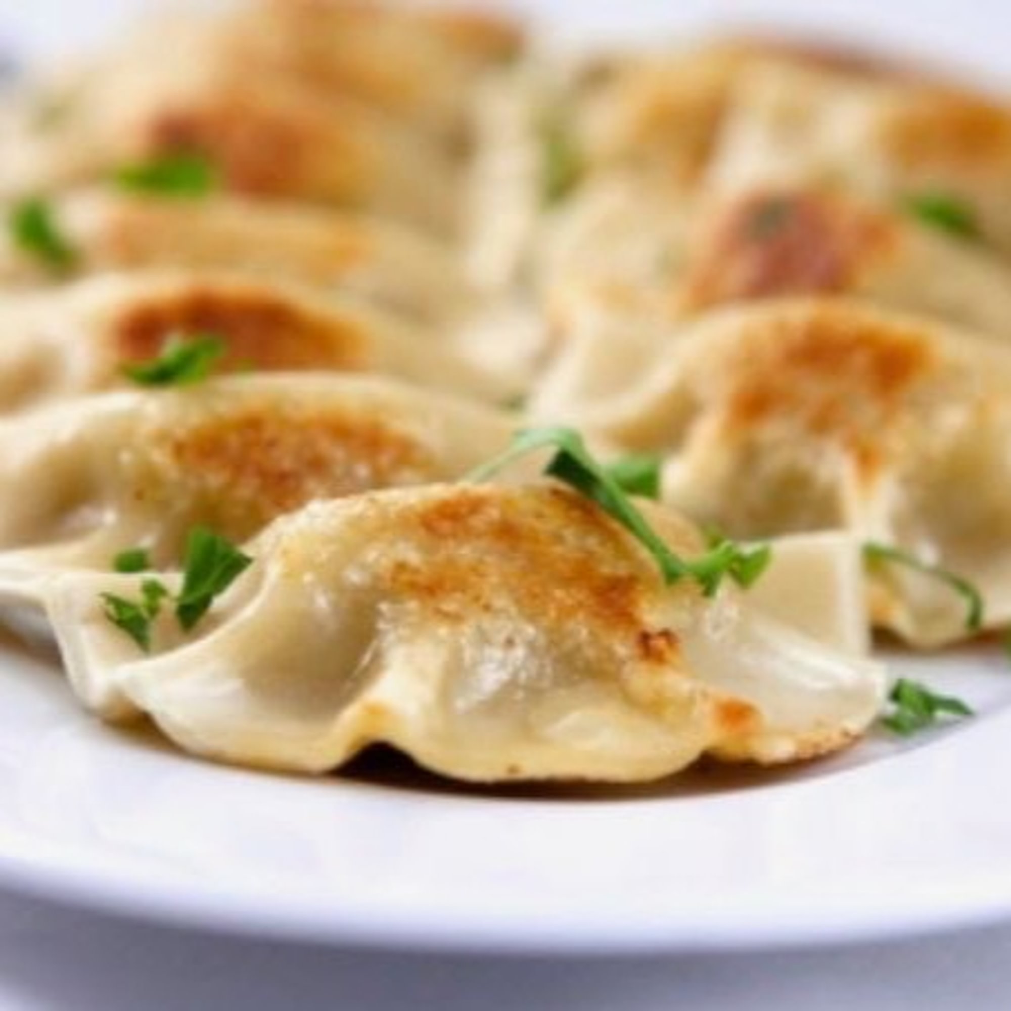Handmade Pork Dumplings