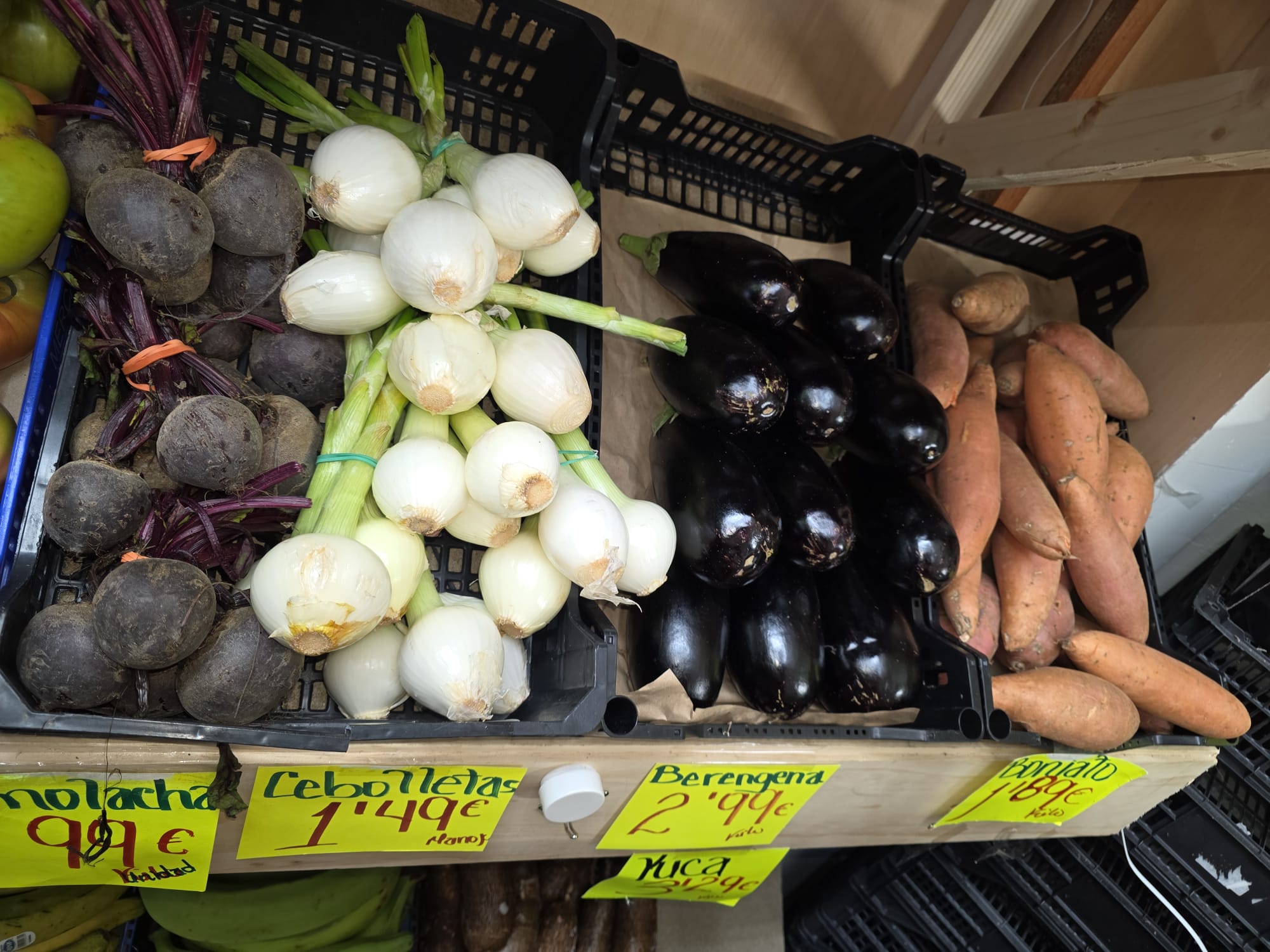 Galería en miniatura