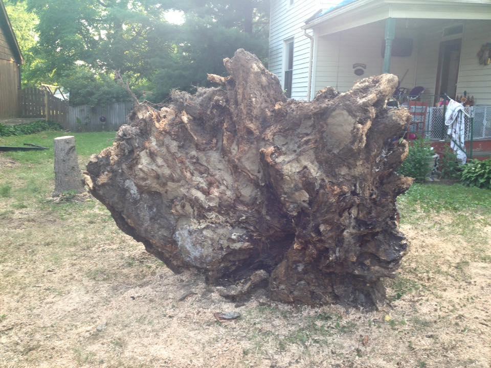 Hackney Tree Service Image